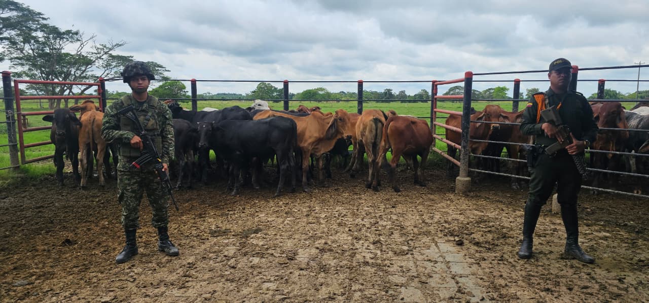 Golpe al Clan del Golfo y al abigeato en Santander