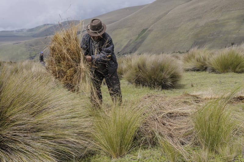 Procurador pidió al gobierno asumir la responsabilidad del cuidado de los páramos