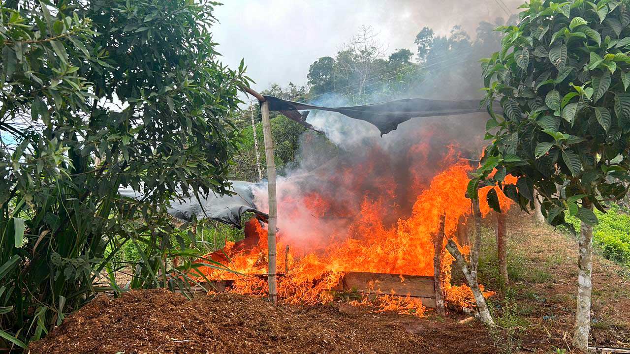 “Venga y le muestro”: la invitación de Petro a Trump sobre su lucha contra las drogas