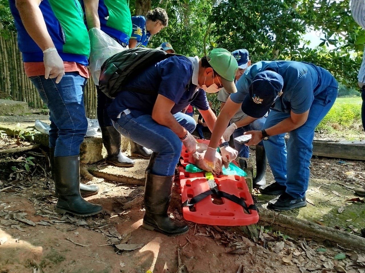 Alarma ambientales en Barrancabermeja por la muerte de otro manatí antillano