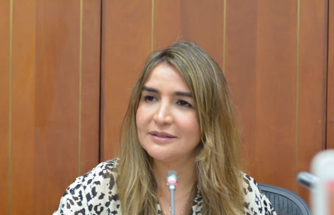 Senadora Nadia Blel renunció a presidencia del Partido Conservador