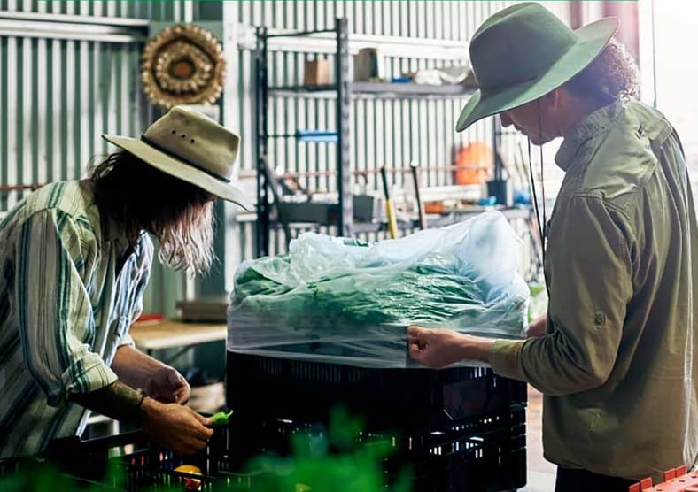 Reducción de -2,63% en 2025 del IPC es “señal de alivio para la inflación”: MinHacienda