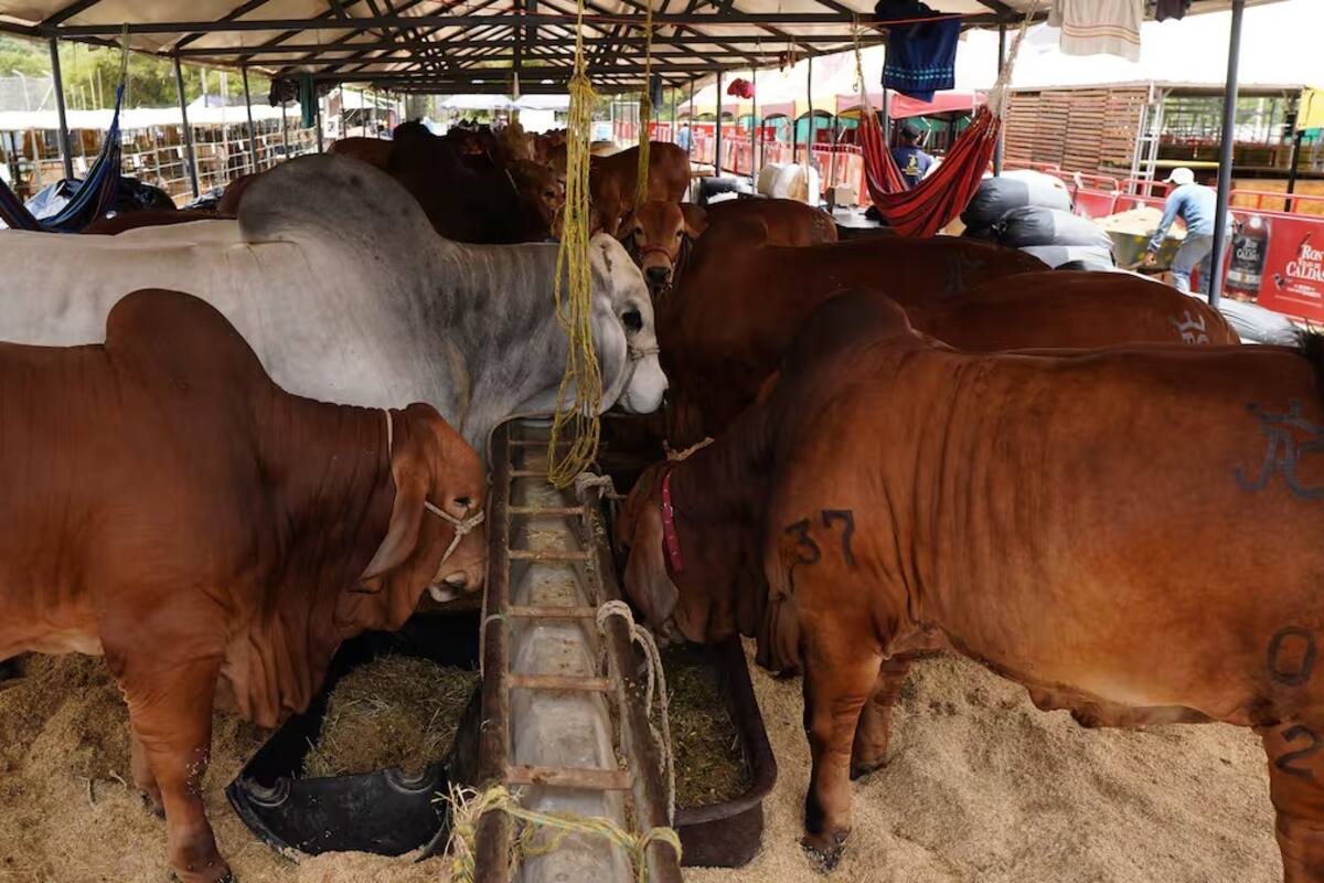 Crecimiento histórico en las exportaciones de Santander durante el 2025