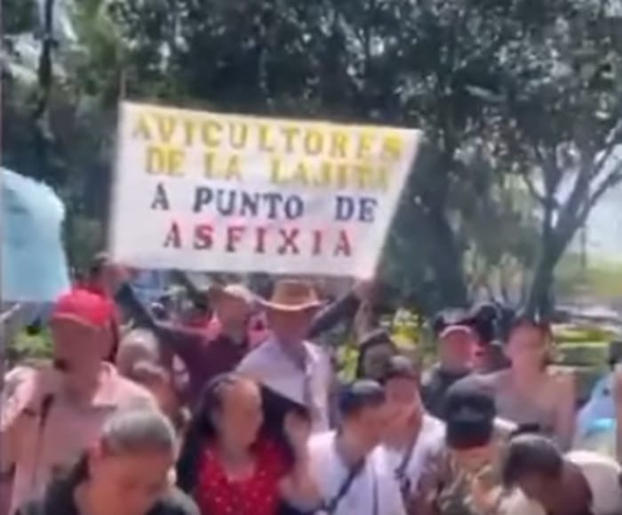 Avilcultores de Villanueva regalaron huevos porque trabajan a pérdida