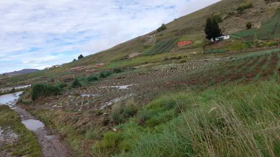 Productores de Tona buscan ayuda del gobierno departamental