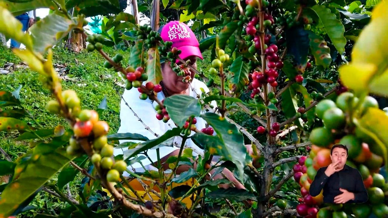 Exportaciones agropecuarias alcanzaron cifra récord en 2025