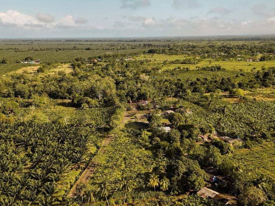 Expropian predios de Cuco Vanoy, pasarán a mano campesinas