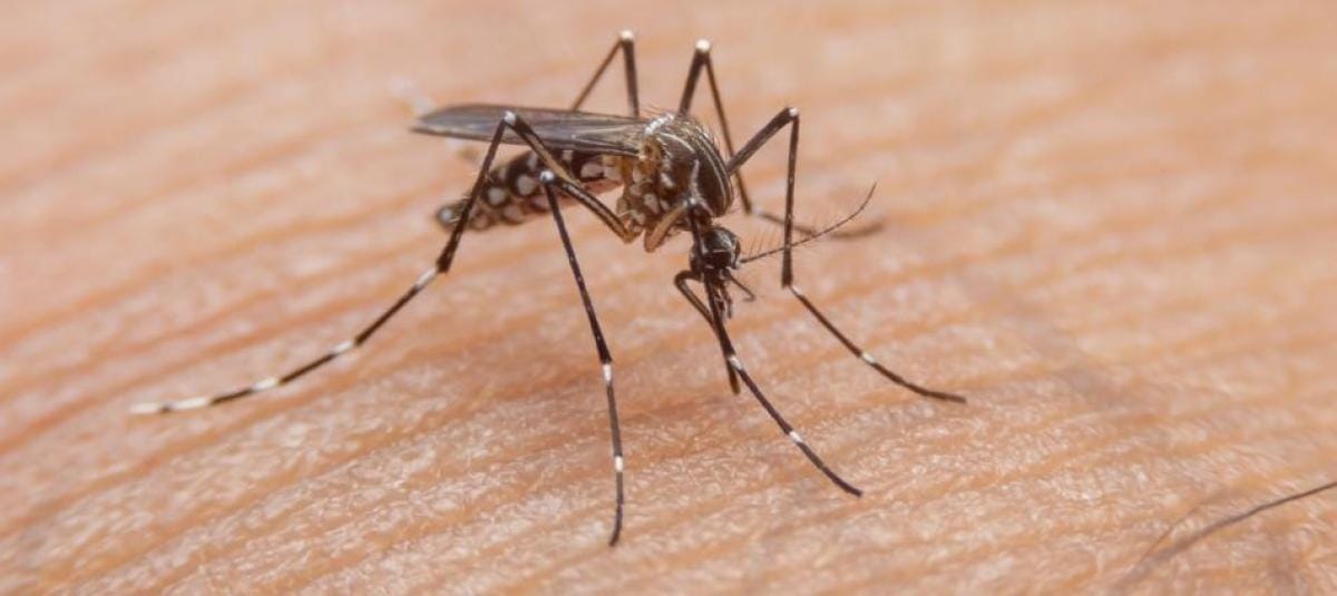 Barrancabermeja le pone freno al dengue