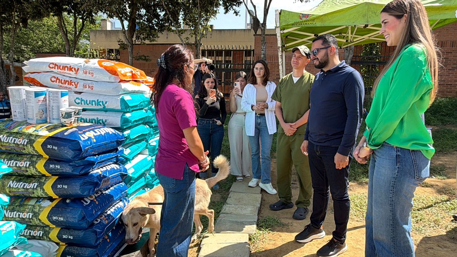 Bucaramanga destinó cerca de $70 millones para alimento de animales rescatados