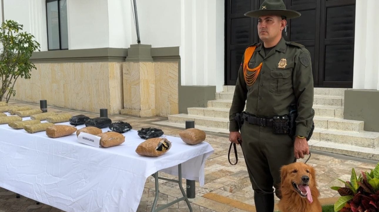 Drástica disminución del delito en Bucaramanga durante febrero