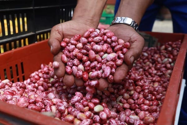 Economía circular para el campesino santandereano