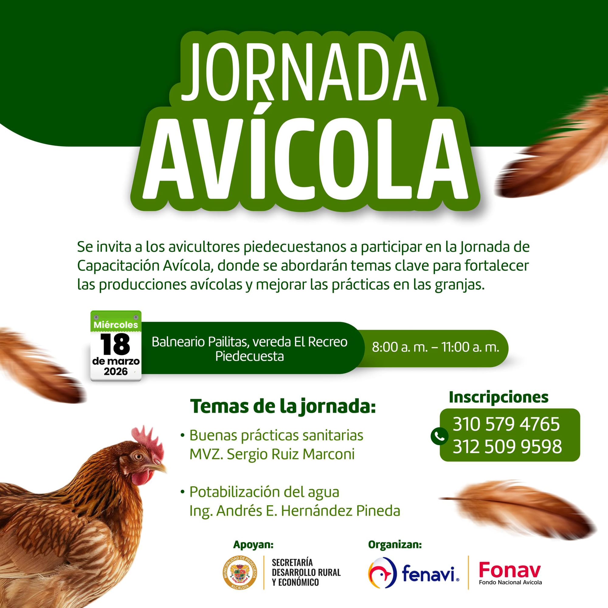 Avicultores de Piedecuesta participarán en jornada de capacitación técnica