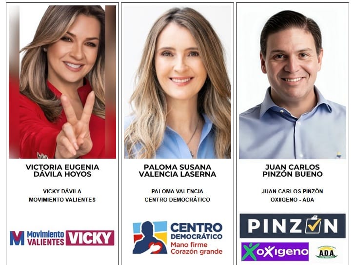 En esta plataforma digital puede ensayar su voto para que llegue a la urna afinadito