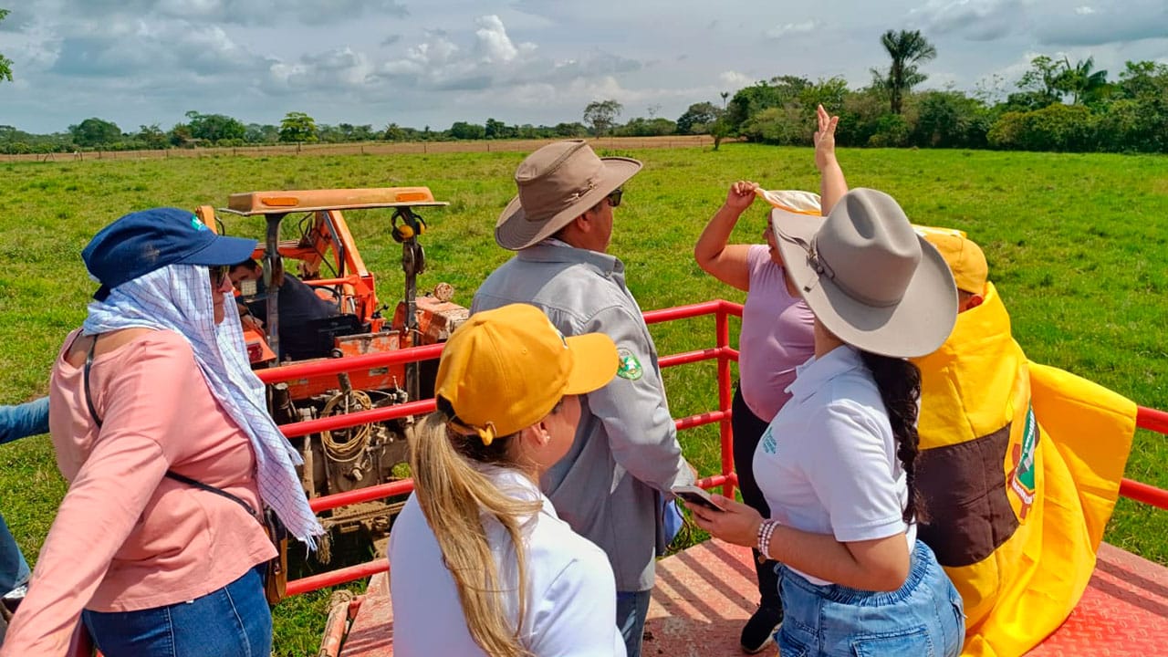 Diez predios vinculados al Clan del Golfo y a la Casa Castaño pasarán a manos campesinas