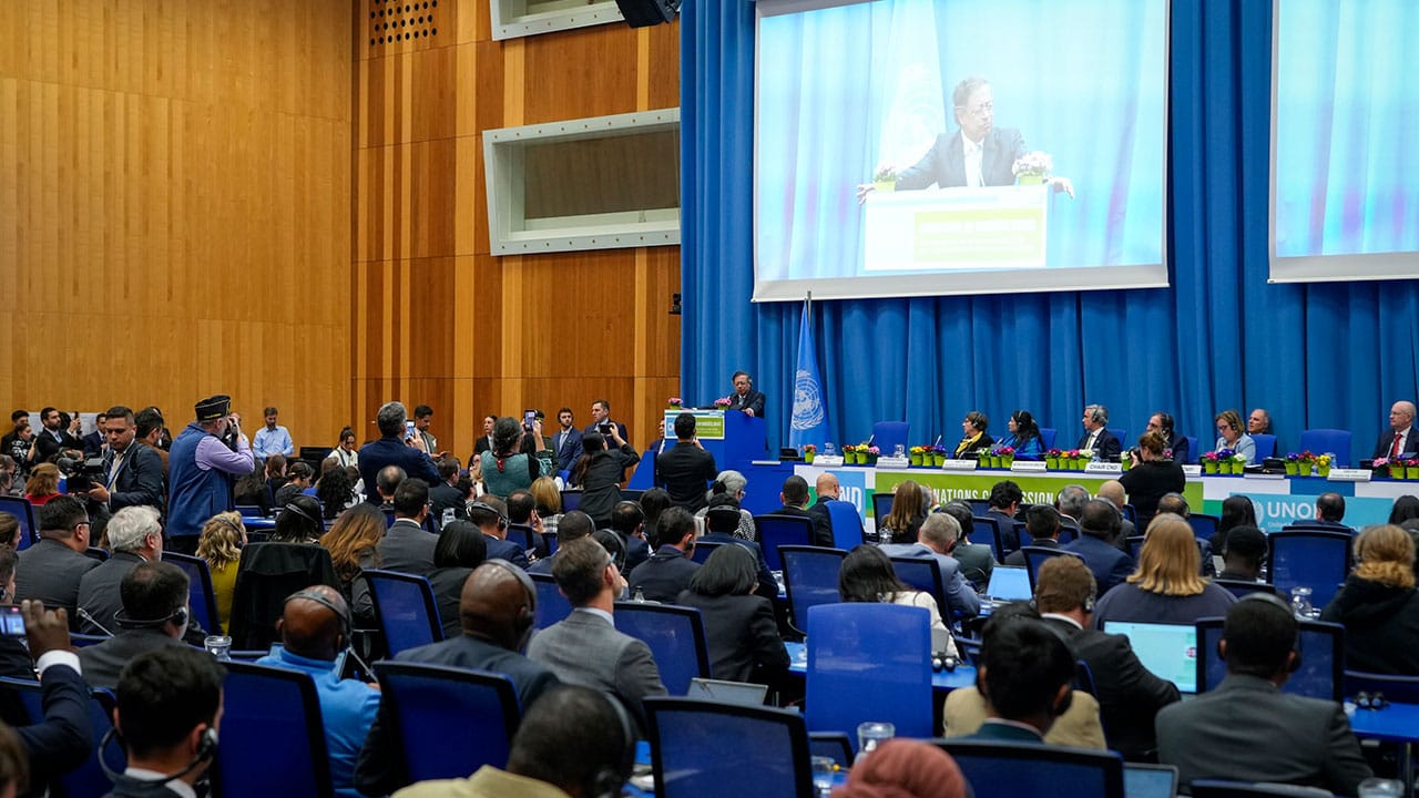 Petro pide al mundo apoyo para fortalecer sustitución voluntaria de cultivos