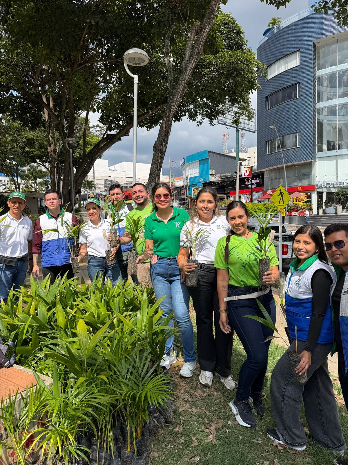 Iniciativa de la CDMB para  salvar la palma de cera