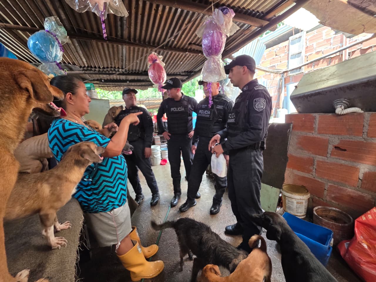 Policía lideró campaña de solidaridad con las mascotas en refugio de 'La Ciudad Bonita'