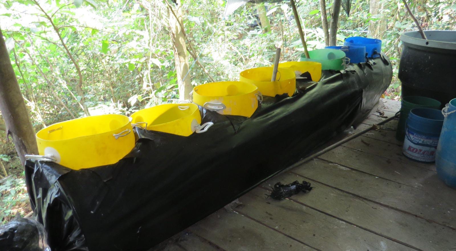 Desmantelado complejo cocalero del ELN con impacto a unos 17.000 millones de pesos