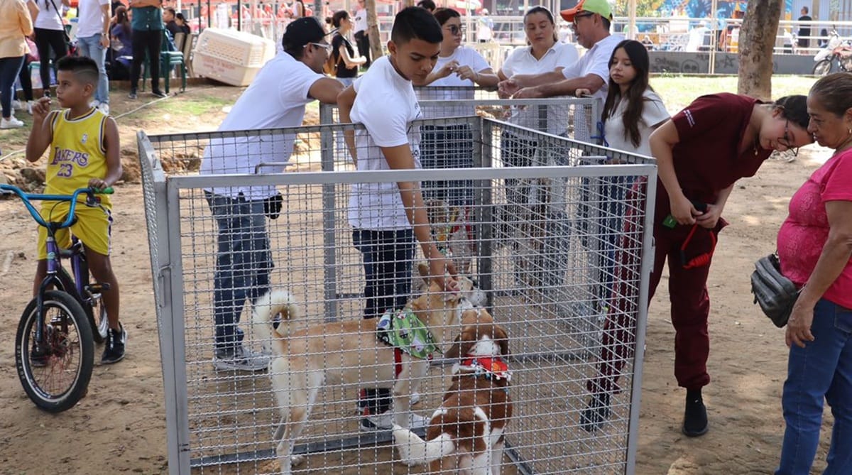 Lista la jornada para adoptar ‘peludos’ con responsabilidad