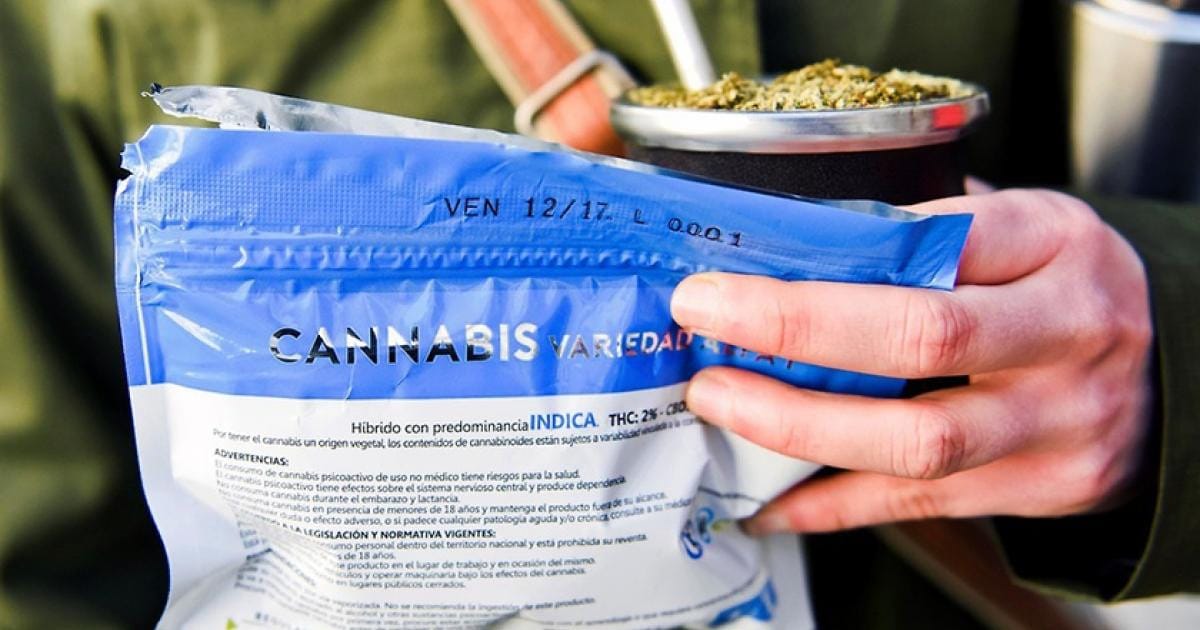 Clubes cannábicos en Uruguay impulsan venta legal de marihuana a turistas