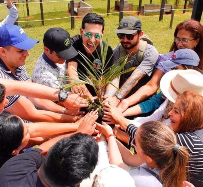 Iniciativa de la CDMB para preservar la palma de cera