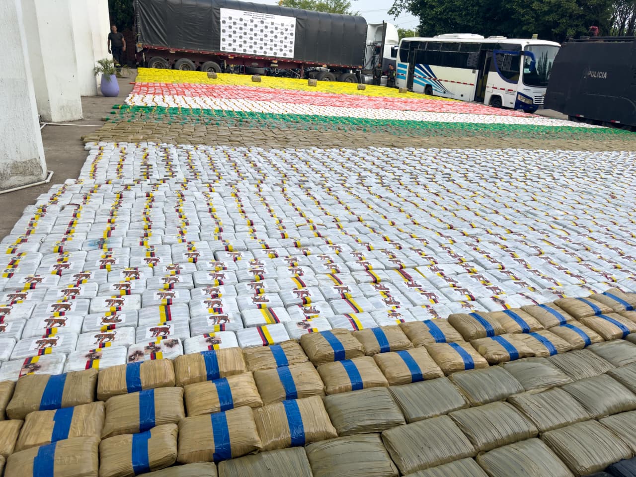 Golpe contra el narcotráfico permitió incautar más  de seis y media toneladas de marihuana en Santander