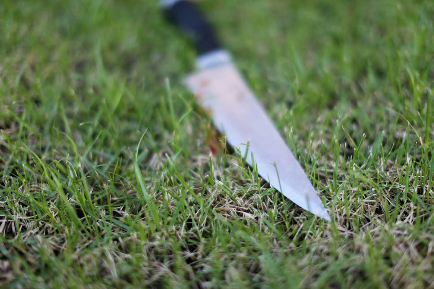 De la calle al hospital: riña dejó herido y desató caos en Suratá