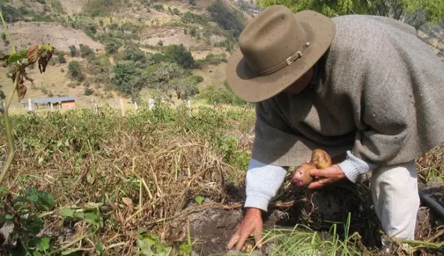 UIS y UNAL presentan proyecto para el desarrollo agrícola de Santander