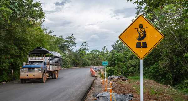 Invías lanza guía para la mitigación del atropellamiento de fauna silvestre