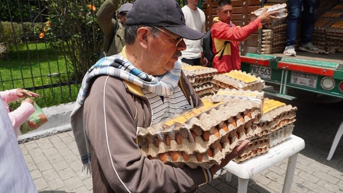 Ante el incremento de la oferta, gobierno inició compra masiva de huevos en todo el país