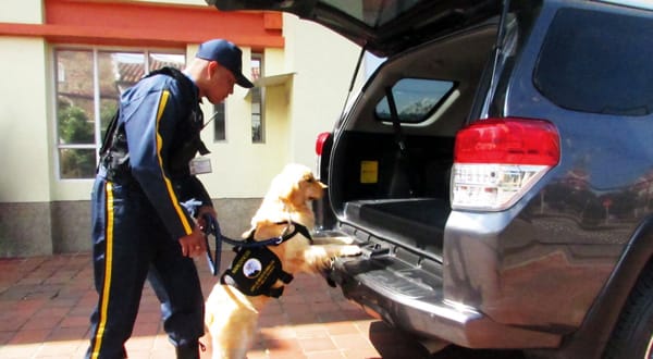 Seguridad en manos de empresas cuestionadas: suspenden 31 licencias por graves irregularidades: una opera en Santander