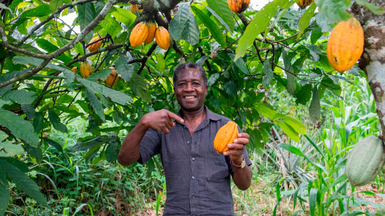 Así funcionará la entrega de $147 mil millones en subsidios para campesinos