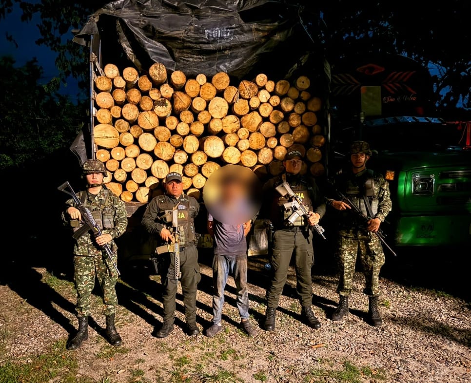 Golpe a la deforestación en Santander: cayó hombre con cargamento ilegal de madera en Sabana de Torres