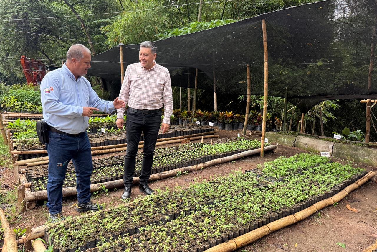 Creados viveros de especies nativas para reforestar a Santander