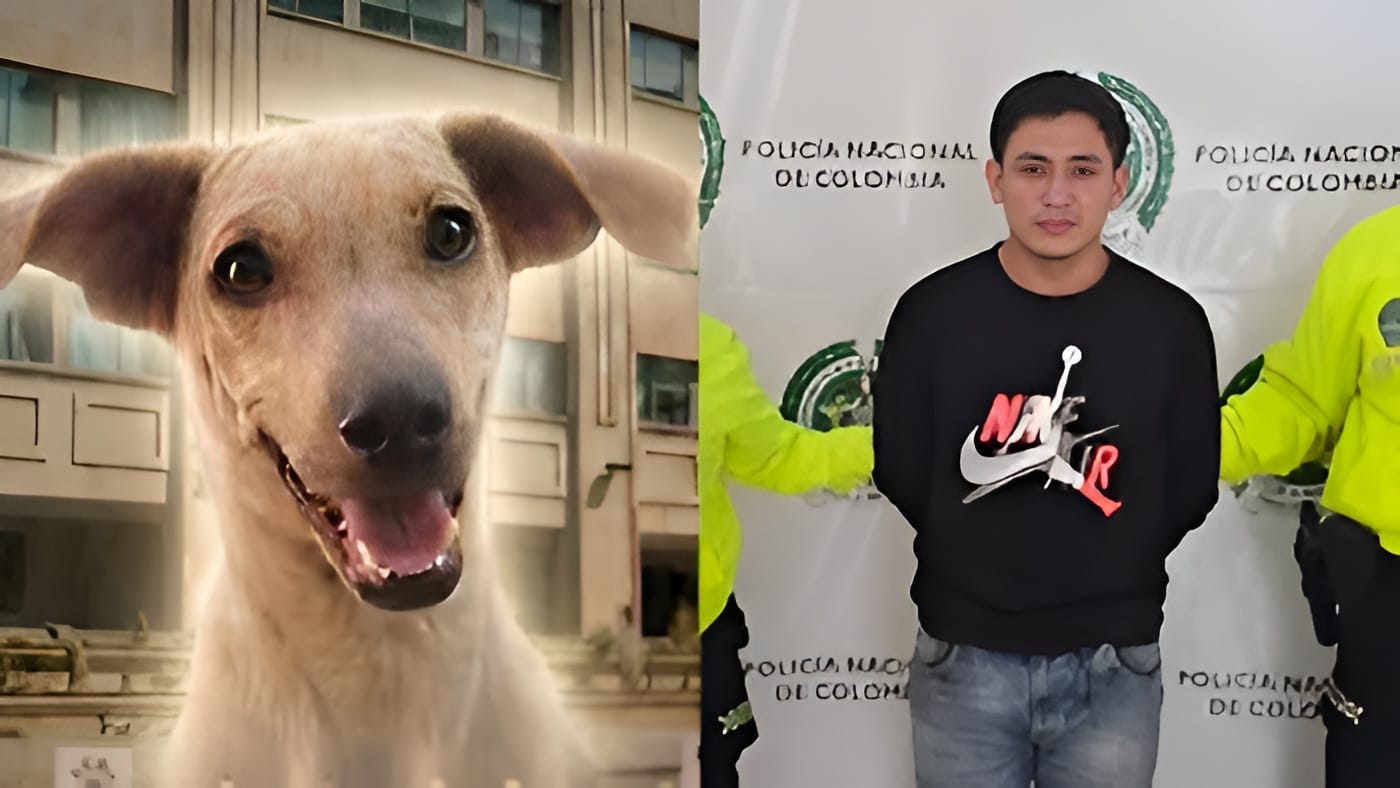 Asesino de 'Kira' irá a prisión por decisión de jueza