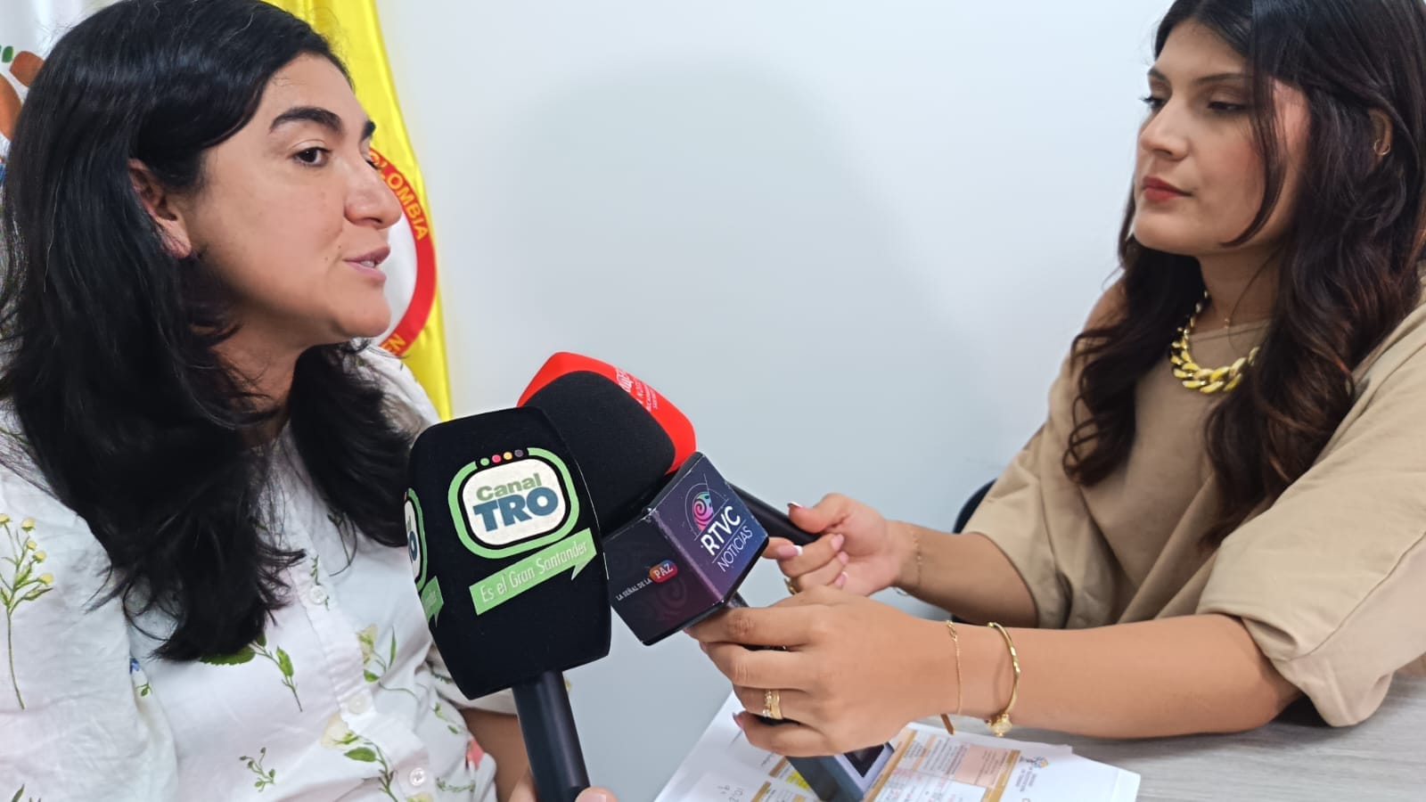 Restitución de tierras en Santander:  víctimas, jueces y nuevos despojados