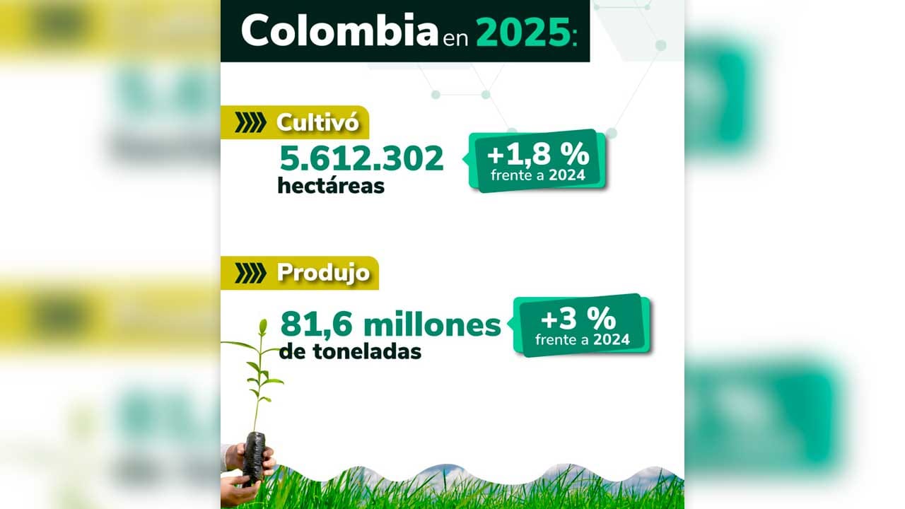 Colombia incrementó el total de su producción agrícola durante 2025