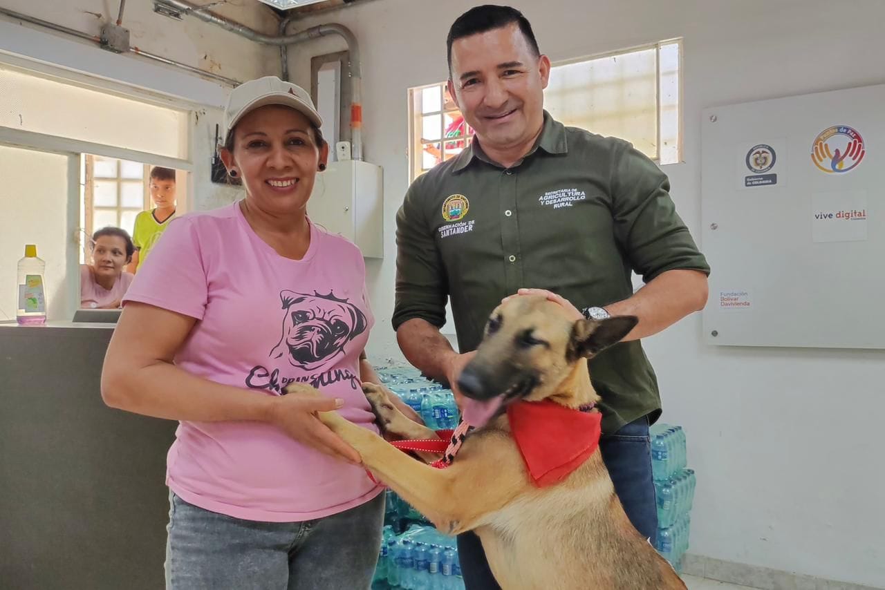 Programa de Bienestar Animal avanza con éxito en Santander