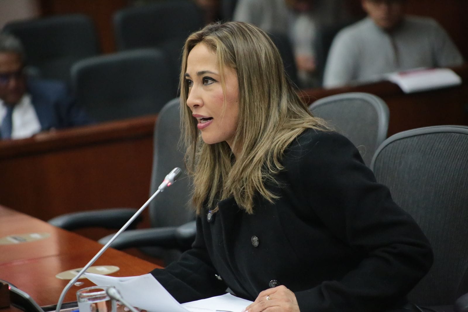 Senadora santandereana, clave en proyecto que aliviará multas y embargos a conductores en Colombia