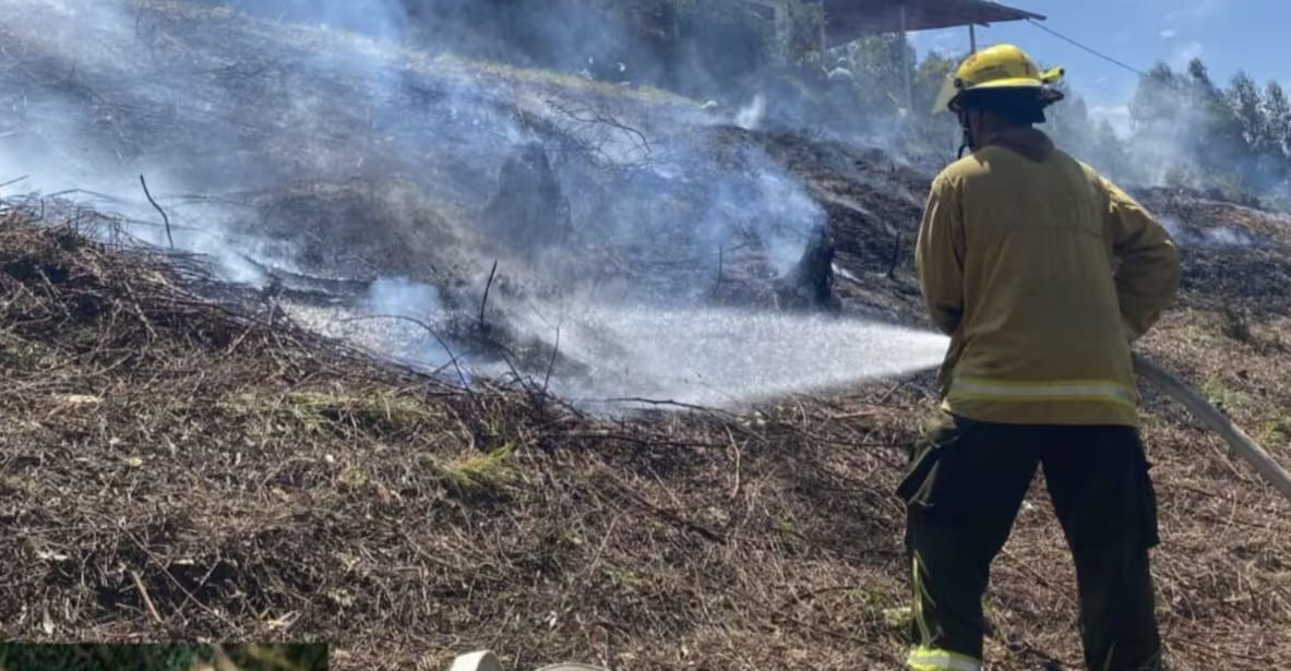Peligro de incendios forestales por altas temperaturas en Santander
