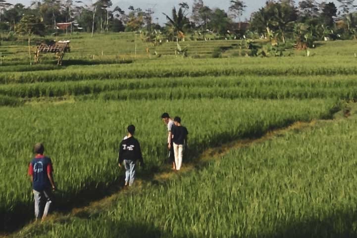 Capturados dos hombres por presunto despojo de tierras a campesinos en Santander
