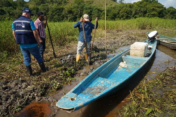 Denuncian grave contaminación en la ciénaga El Llanito