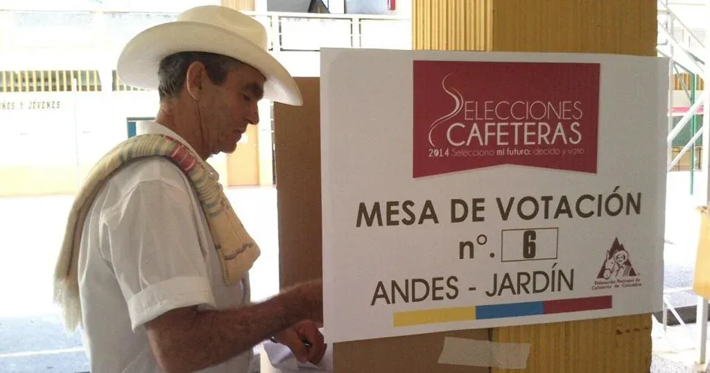 Más de 21 mil caficultores santandereanos elegirán a sus representantes en las elecciones cafeteras de 2026