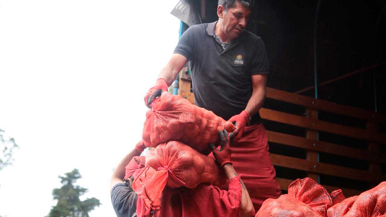 El agro colombiano alcanzó 4,9 millones de empleos en abril, el más alto en 9 años