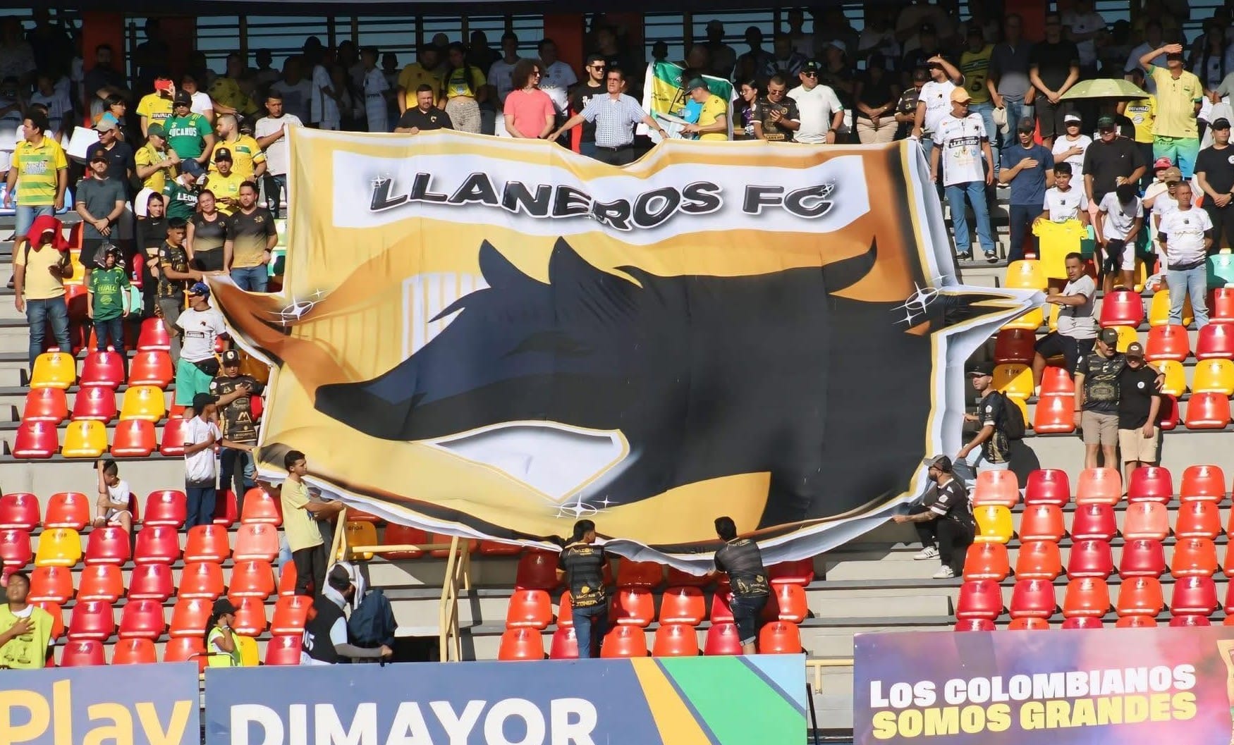 Confirmada sanción a representante legal de Llaneros