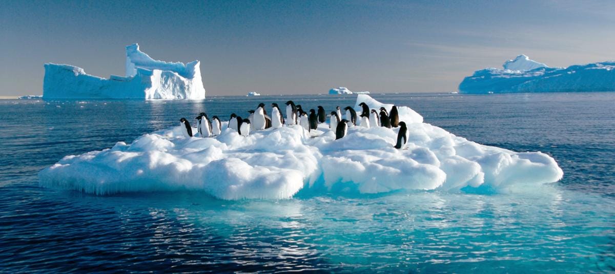Ártico registra olas de calor marinas sin precedentes de hasta 480 días
