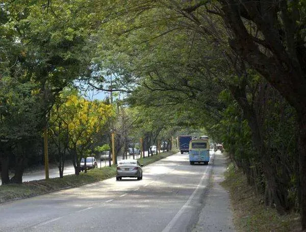 Habrá 'luz verde' para retorno vial en el Anillo Vial