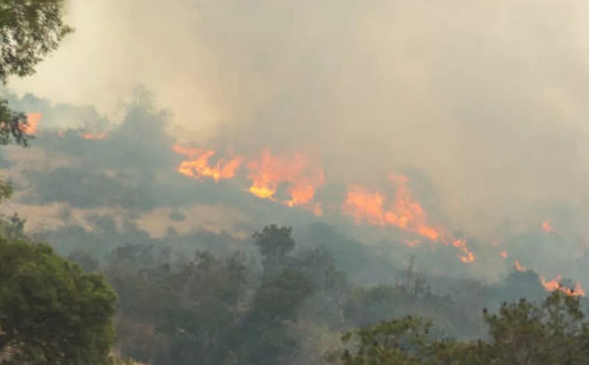 Trece municipio en alerta preventiva por fenómeno  de El Niño en Santander