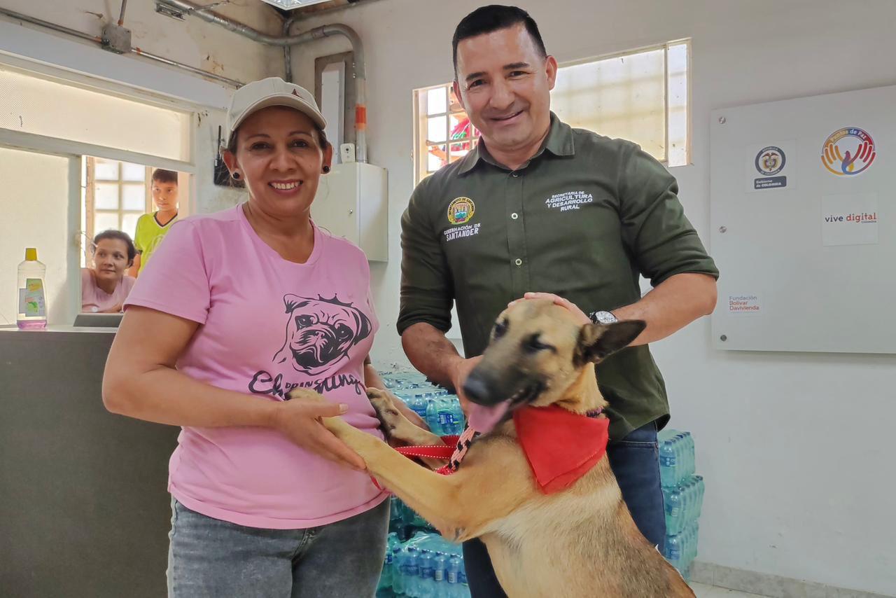 'Peluditos' de fiesta por  atención especial en Santander