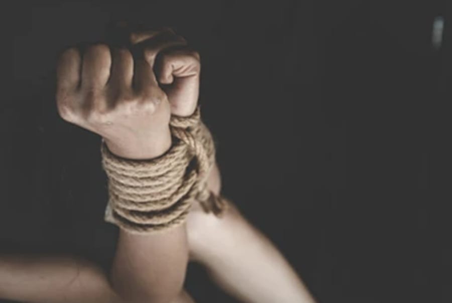 Banda de malhechores perpetraron millonario asalto en varias fincas de Santander